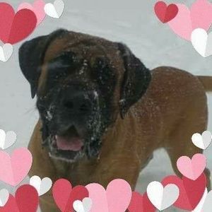 Meet your Posher, Janice